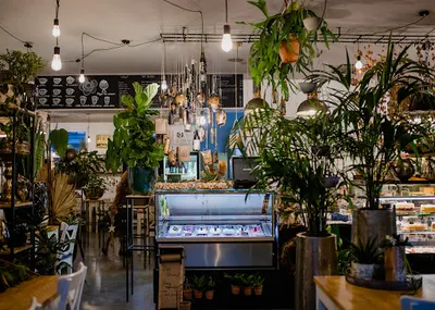 KWIATY ZE SMAKIEM MAŁGORZATA PARTYKA